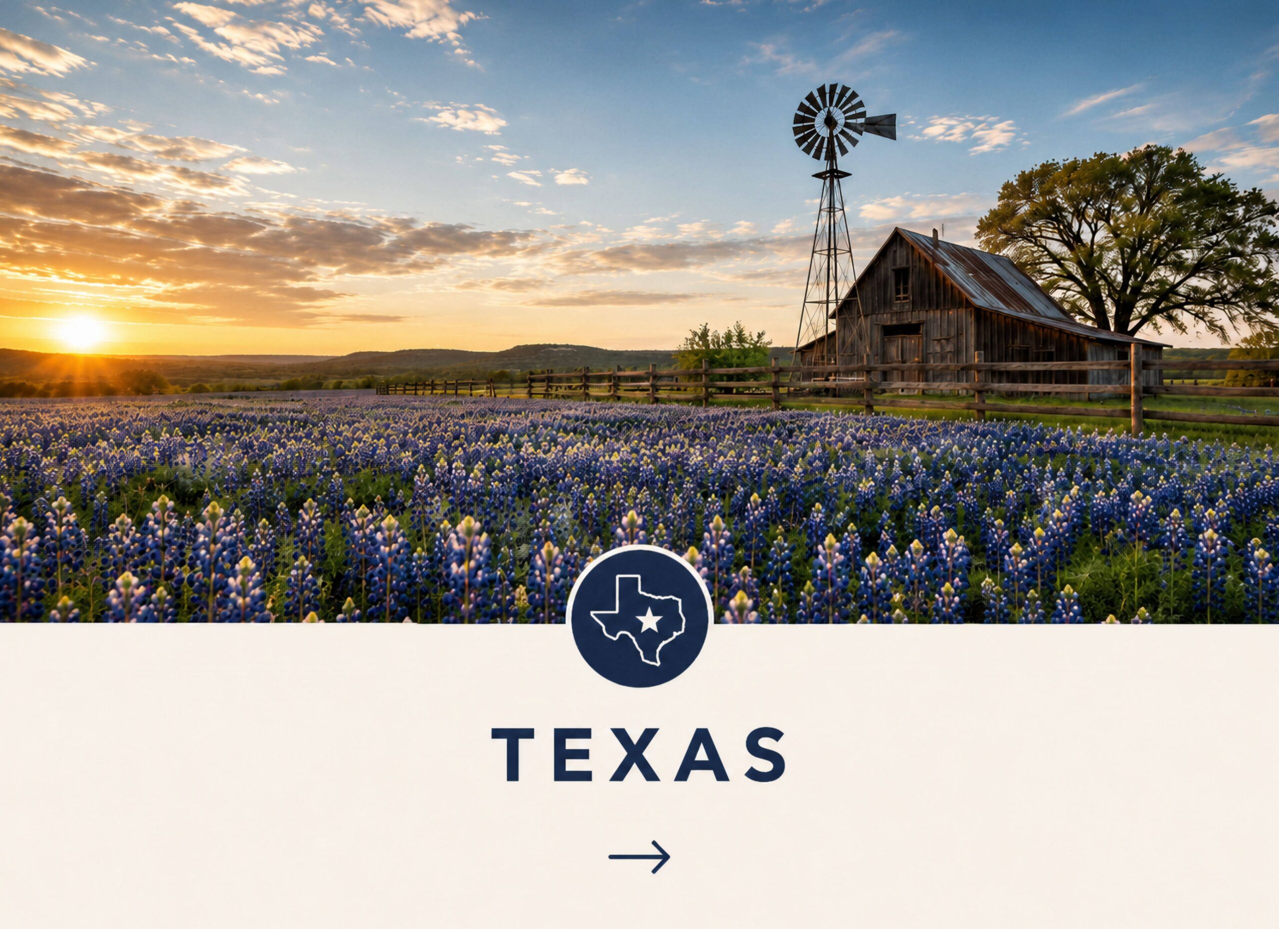 Texas bluebonnet field with windmill at sunset